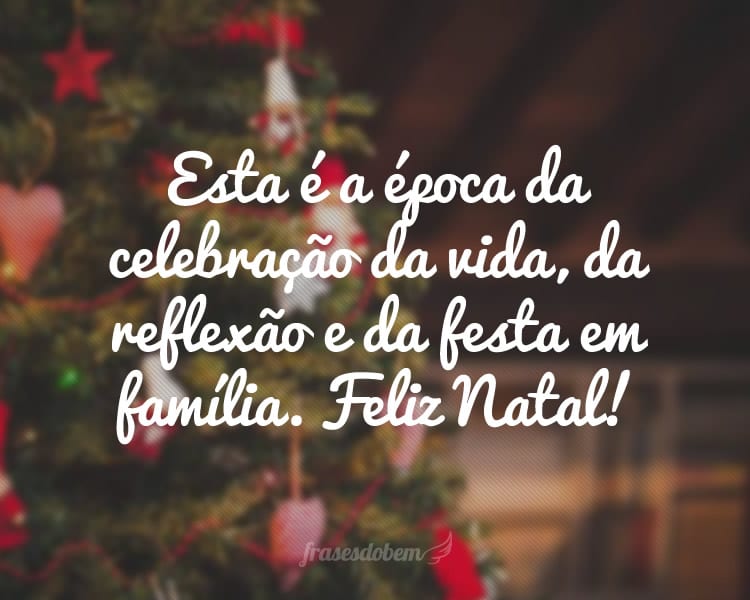 TENHA UM FELIZ NATAL STNT062