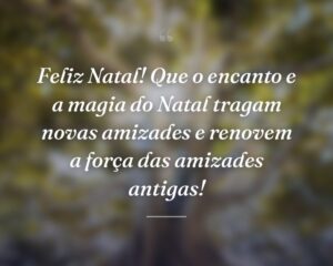 Feliz Natal! Que o encanto e a magia do Natal tragam novas amizades e renovem a força das amizades antigas!