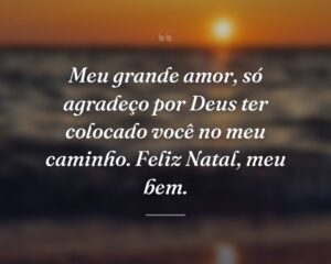 Meu grande amor, só agradeço por Deus ter colocado você no meu caminho. Feliz Natal, meu bem.