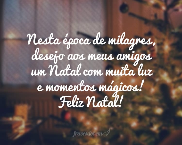 Nesta época de milagres, desejo aos meus amigos um Natal com muita luz e momentos mágicos! Feliz Natal!