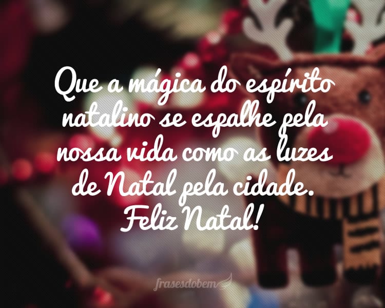 Que a mágica do espírito natalino se espalhe pela nossa vida como as luzes de Natal pela cidade. Feliz Natal!