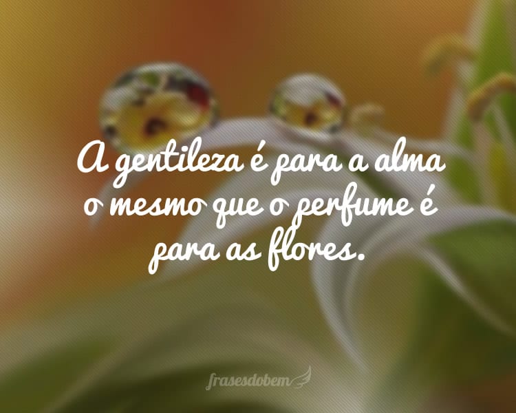 A gentileza é para a alma o mesmo que o perfume é para as flores.