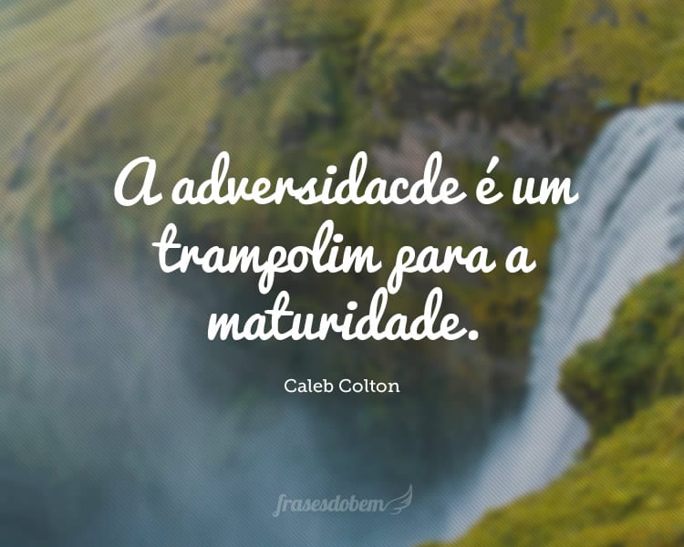 A adversidade Ã© um trampolim para a maturidade.