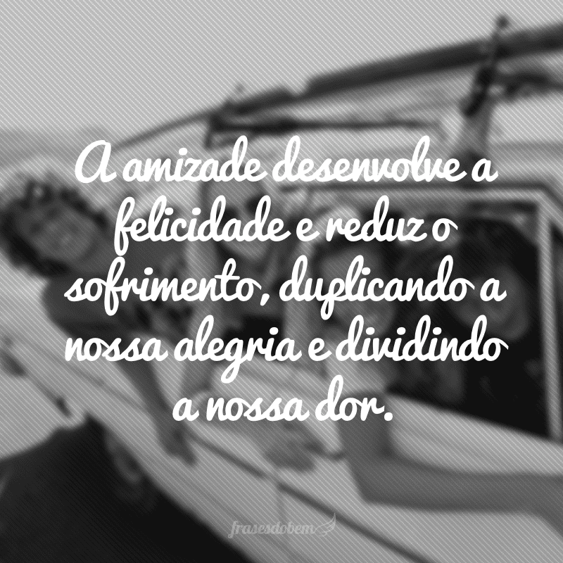 A amizade desenvolve a felicidade e reduz o sofrimento, duplicando a nossa alegria e dividindo a nossa dor.