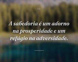 A sabedoria é um adorno na prosperidade e um refúgio na adversidade.