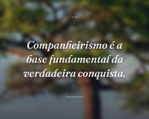 Companheirismo é a base fundamental da verdadeira conquista.
