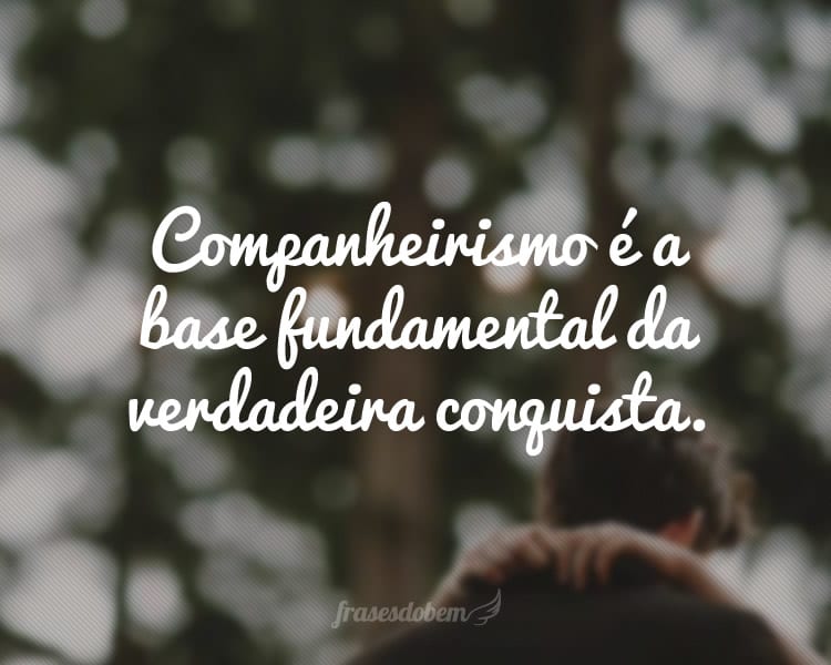 Companheirismo é a base fundamental da verdadeira conquista.