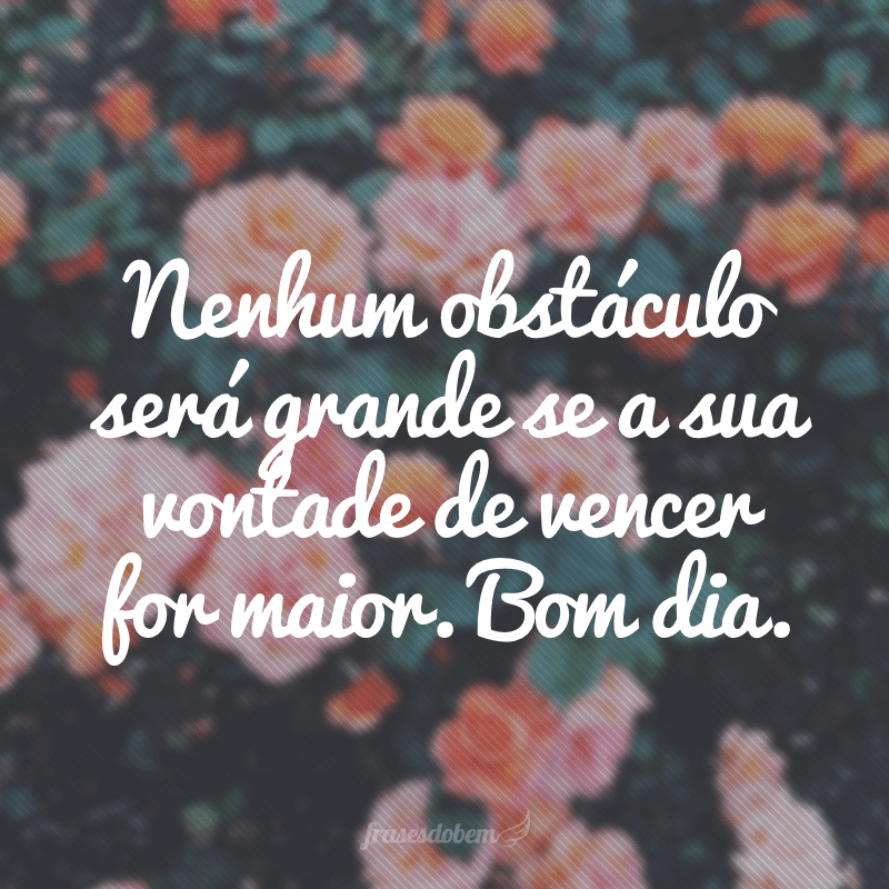 Nenhum obstáculo será grande se a sua vontade de vencer for maior. Bom dia.