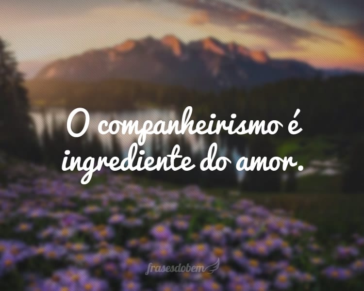 O companheirismo é ingrediente do amor.