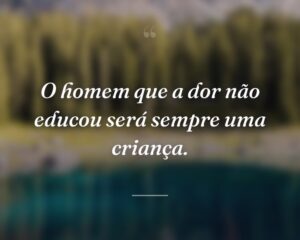 O homem que a dor não educou será sempre uma criança.