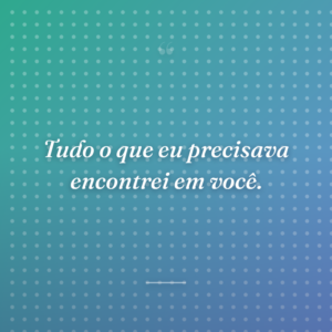 Tudo o que eu precisava encontrei em você.