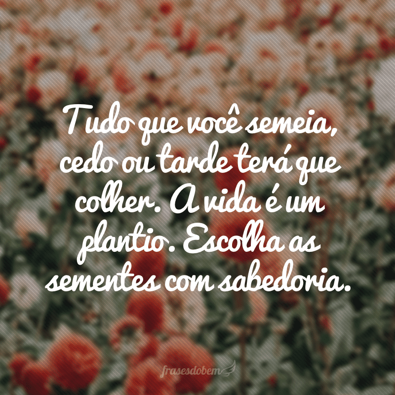 Tudo que você semeia, cedo ou tarde terá que colher. A vida é um plantio. Escolha as sementes com sabedoria.