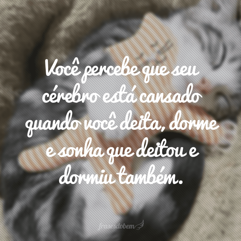 Você percebe que seu cérebro está cansado quando você deita, dorme e sonha que deitou e dormiu também.