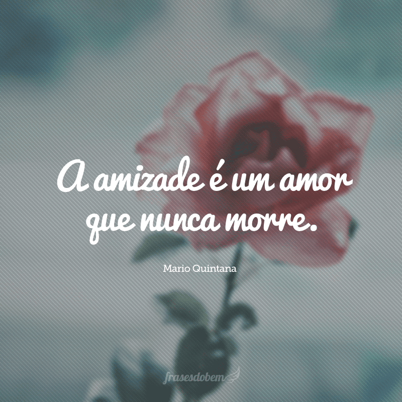 A amizade é um amor que nunca morre. 