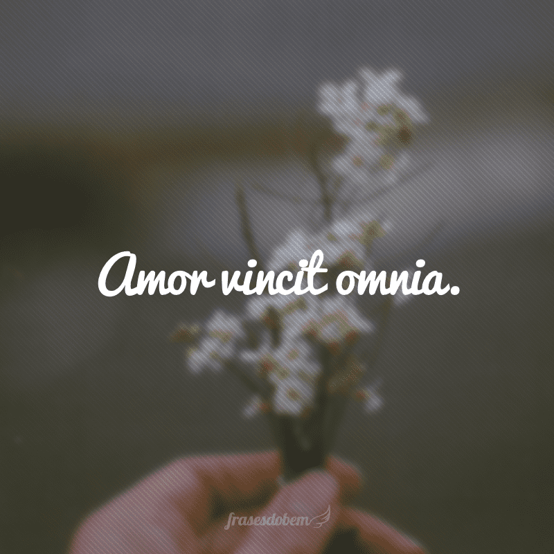 Amor vincit omnia. (O amor tudo vence)