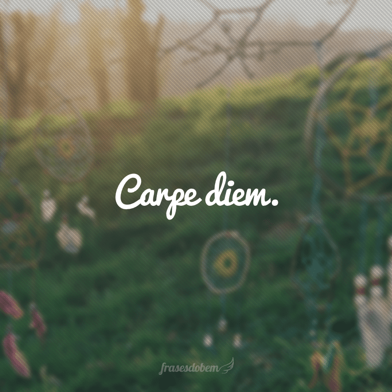 Carpe diem. (Aproveite o dia)