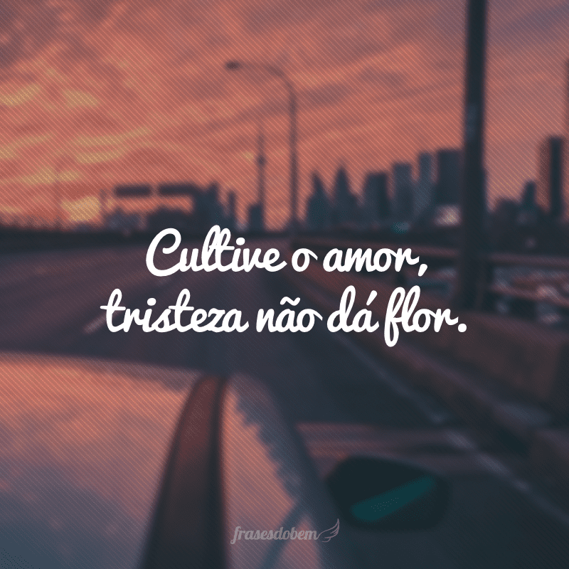 Cultive o amor, tristeza não dá flor.