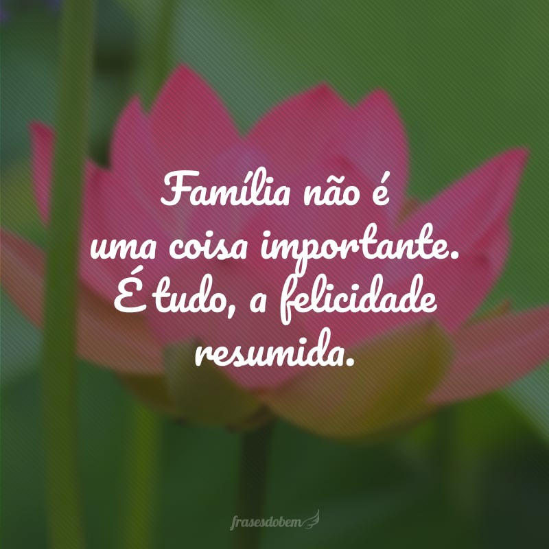 Família não é uma coisa importante. É tudo, a felicidade resumida.