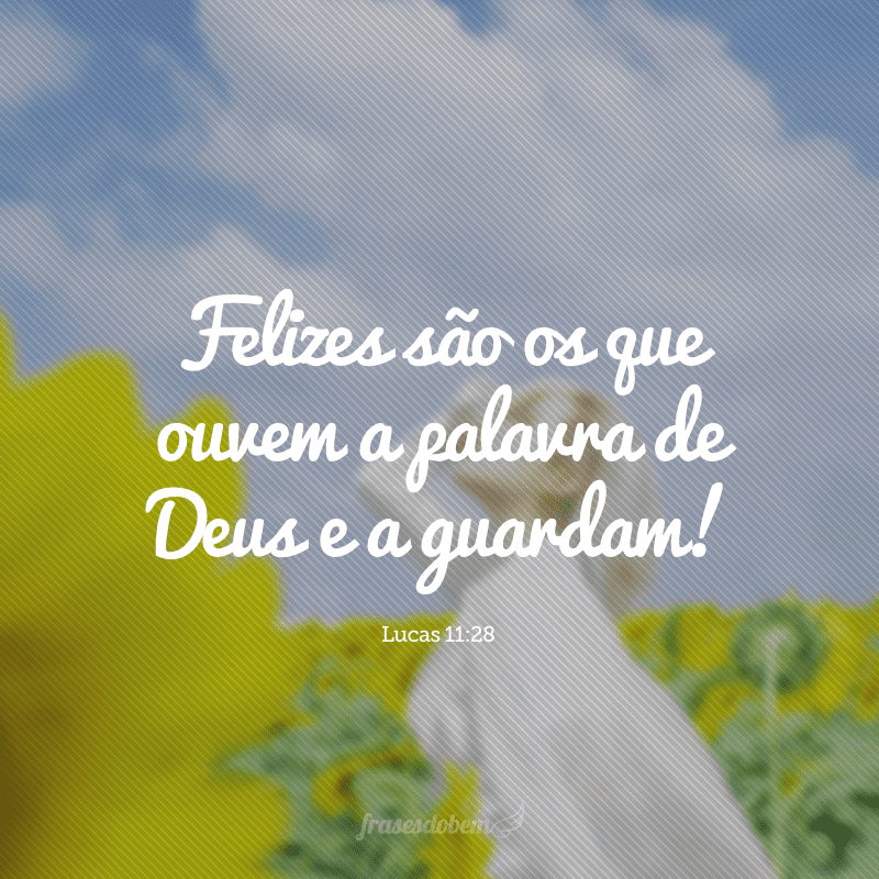 Felizes são os que ouvem a palavra de Deus e a guardam!