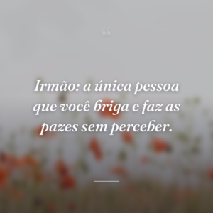 Irmão: a única pessoa que você briga e faz as pazes sem perceber.