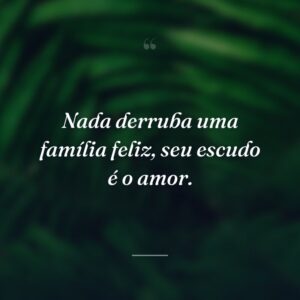 Nada derruba uma família feliz, seu escudo é o amor.