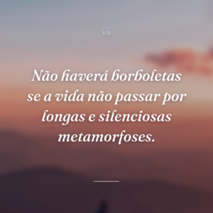 Não haverá borboletas se a vida não passar por longas e silenciosas metamorfoses.