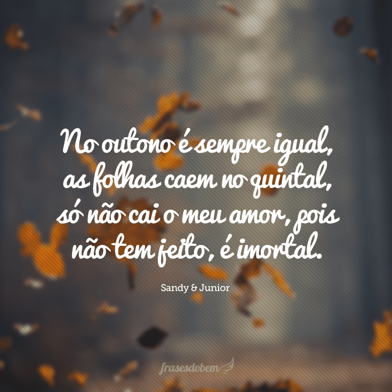 No outono é sempre igual, as folhas caem no quintal, só não cai o meu amor, pois não tem jeito, é imortal. 