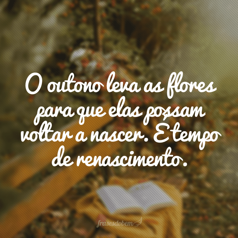 O outono leva as flores para que elas possam voltar a nascer. É tempo de renascimento.