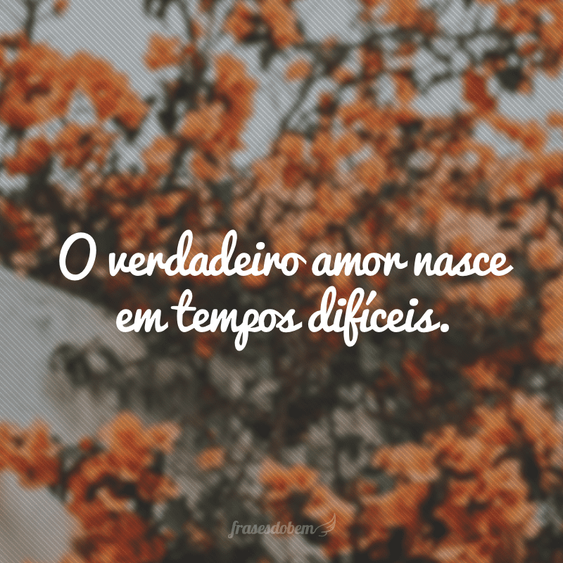 O verdadeiro amor nasce em tempos difíceis.