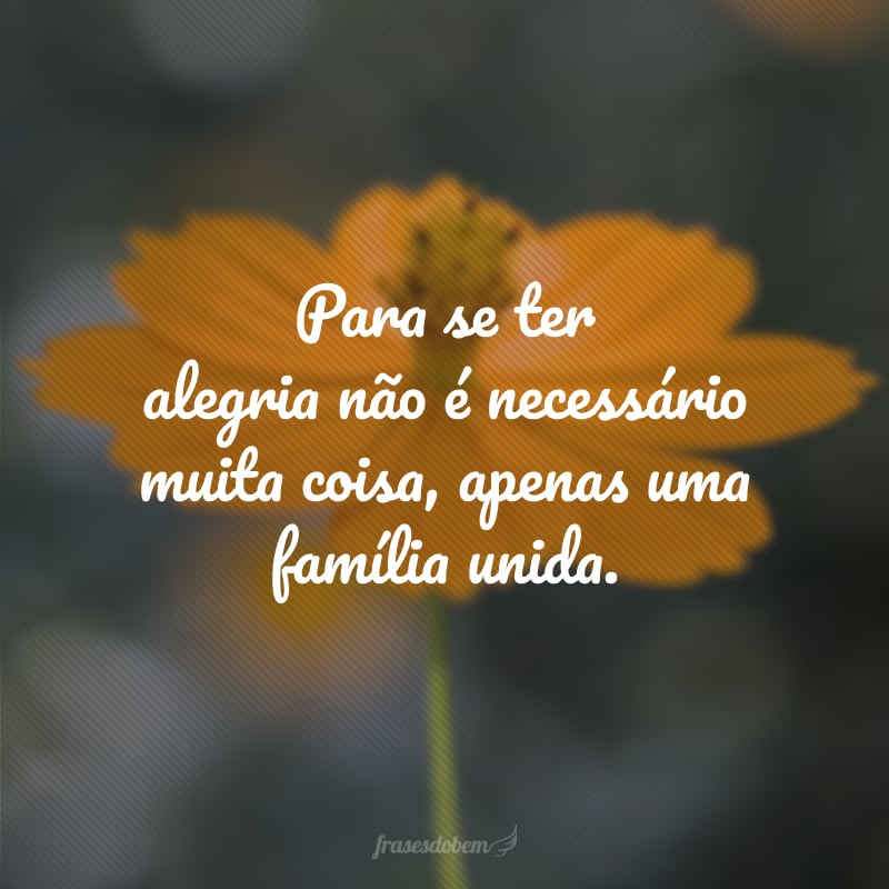 Para se ter alegria não é necessário muita coisa, apenas uma família unida.