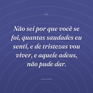 Não sei por que você se foi, quantas saudades eu senti, e de tristezas vou viver, e aquele adeus, não pude dar.