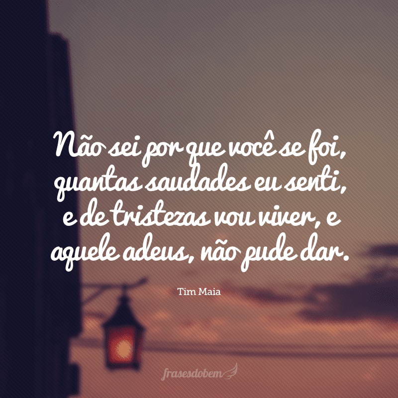 Não sei por que você se foi, quantas saudades eu senti, e de tristezas vou viver, e aquele adeus, não pude dar.