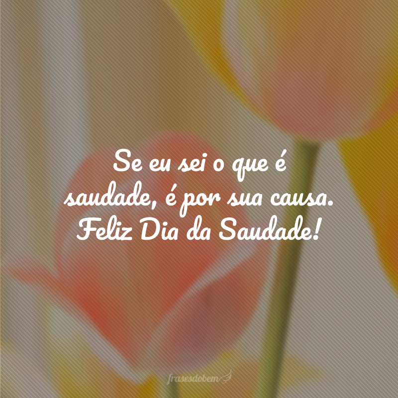 Se eu sei o que é saudade, é por sua causa. Feliz Dia da Saudade!