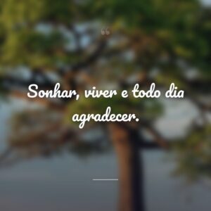 Sonhar, viver e todo dia agradecer.