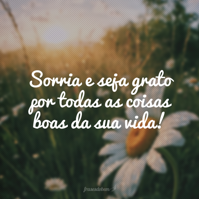 Sorria e seja grato por todas as coisas boas da sua vida!