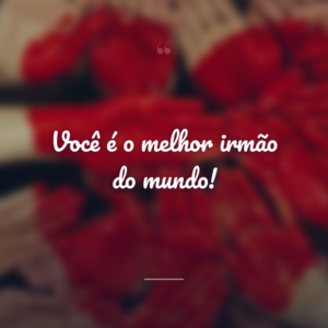 Você é o melhor irmão do mundo!