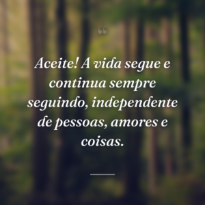 Aceite! A vida segue e continua sempre seguindo, independente de pessoas, amores e coisas.