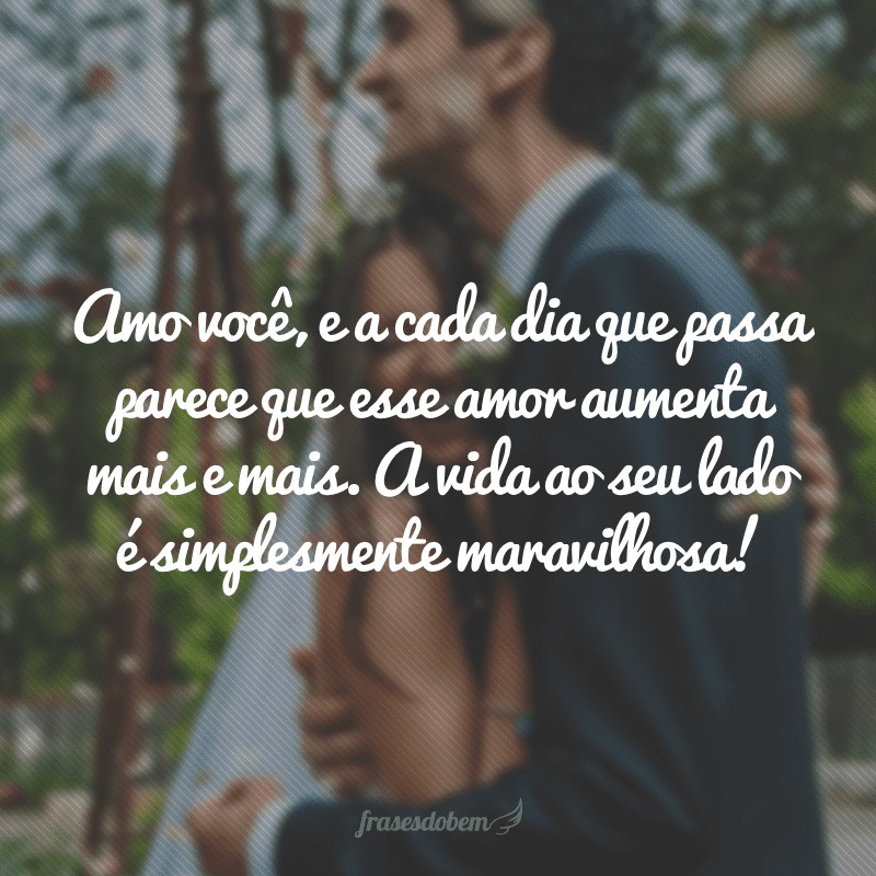 Amo você, e a cada dia que passa parece que esse amor aumenta mais e mais. A vida ao seu lado é simplesmente maravilhosa!