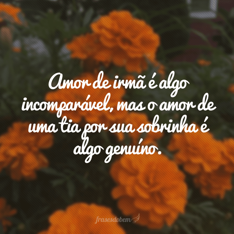 Amor de irmã é algo incomparável, mas o amor de uma tia por sua sobrinha é algo genuíno.