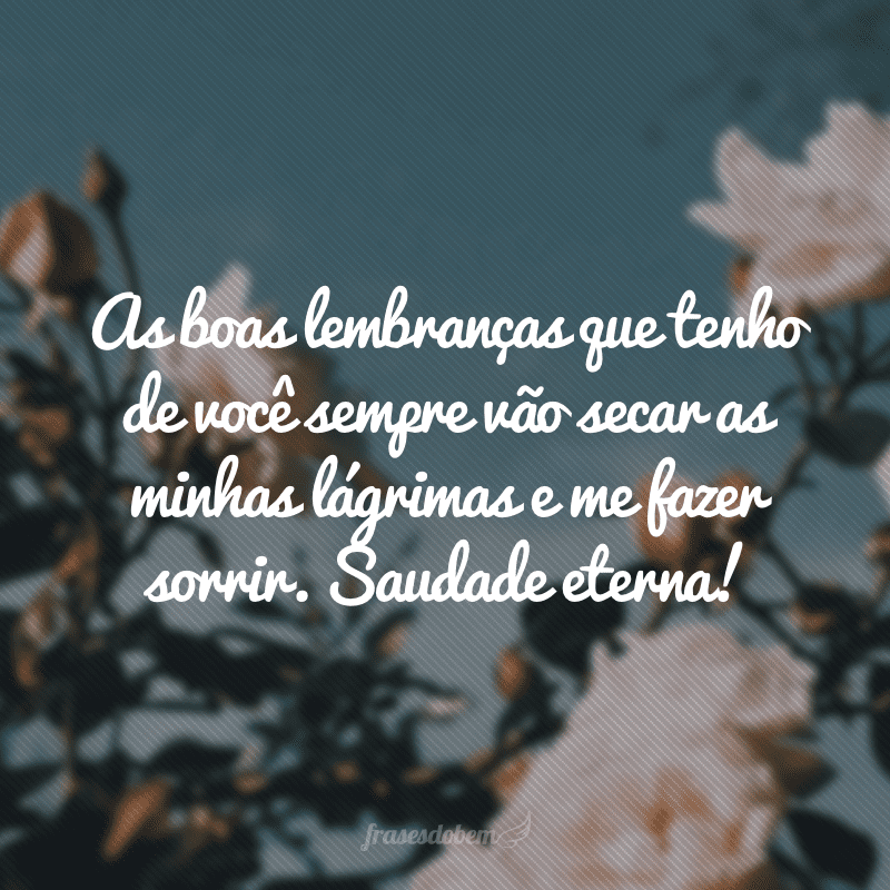 As boas lembranças que tenho de você sempre vão secar as minhas lágrimas e me fazer sorrir. Saudade eterna!