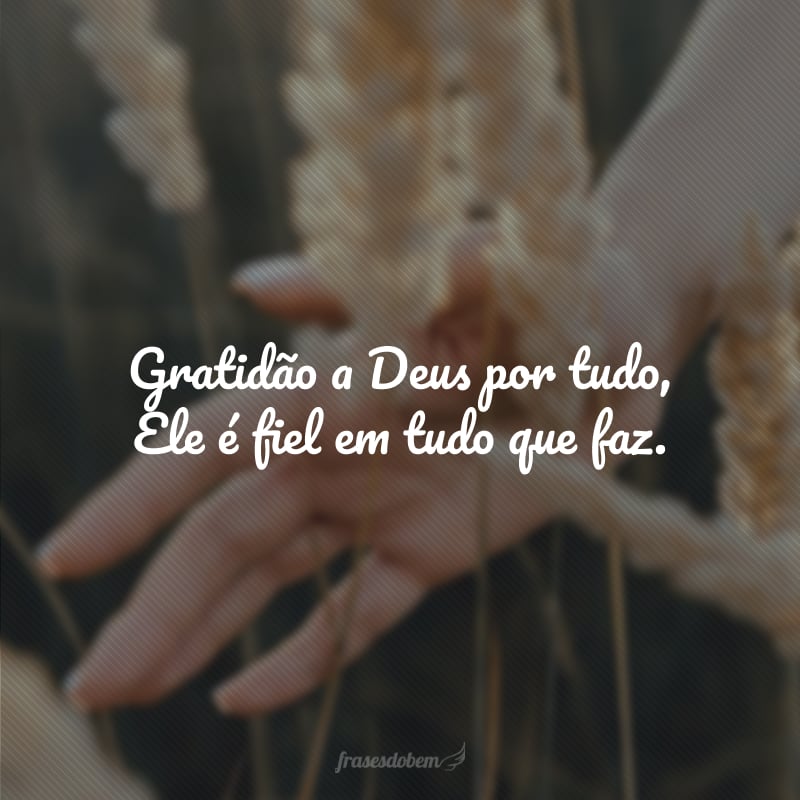 Gratidão a Deus por tudo, Ele é fiel em tudo que faz.