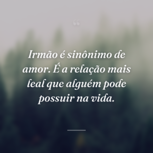 Irmão é sinônimo de amor. É a relação mais leal que alguém pode possuir na vida.
