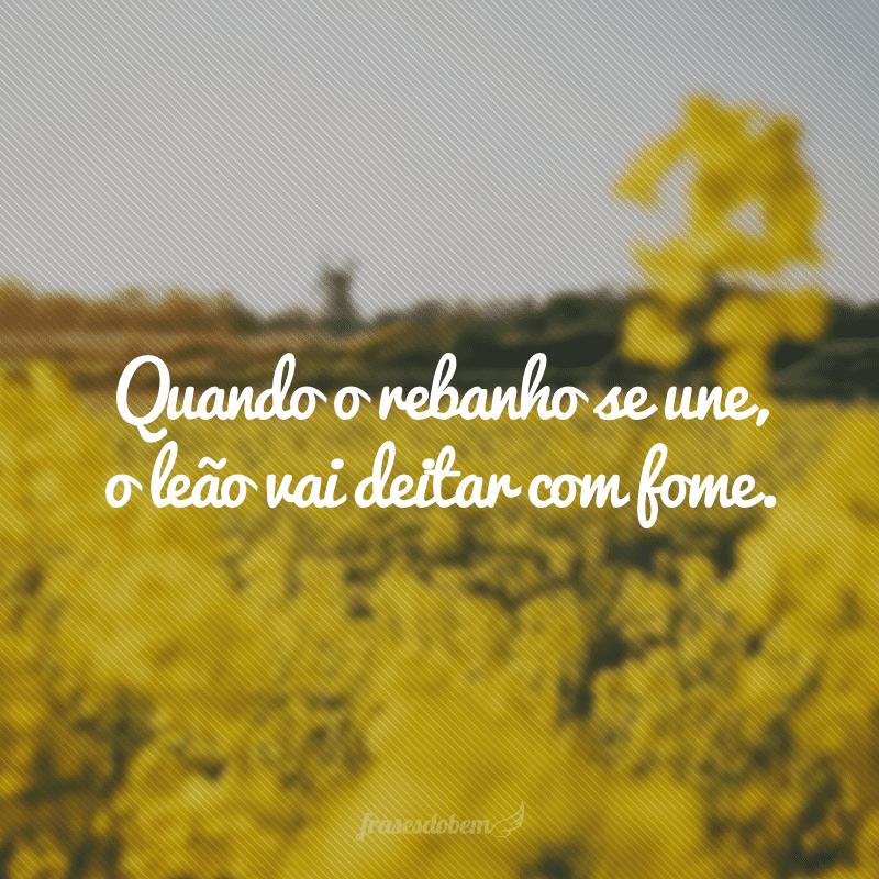 Quando o rebanho se une, o leão vai deitar com fome.