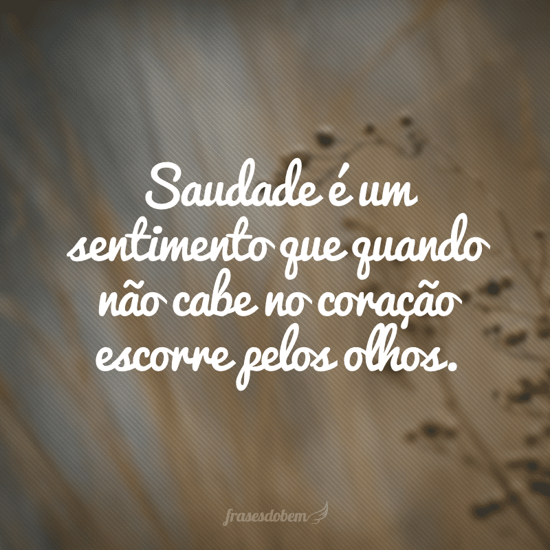 Saudade é um sentimento que quando não cabe no coração escorre pelos olhos.