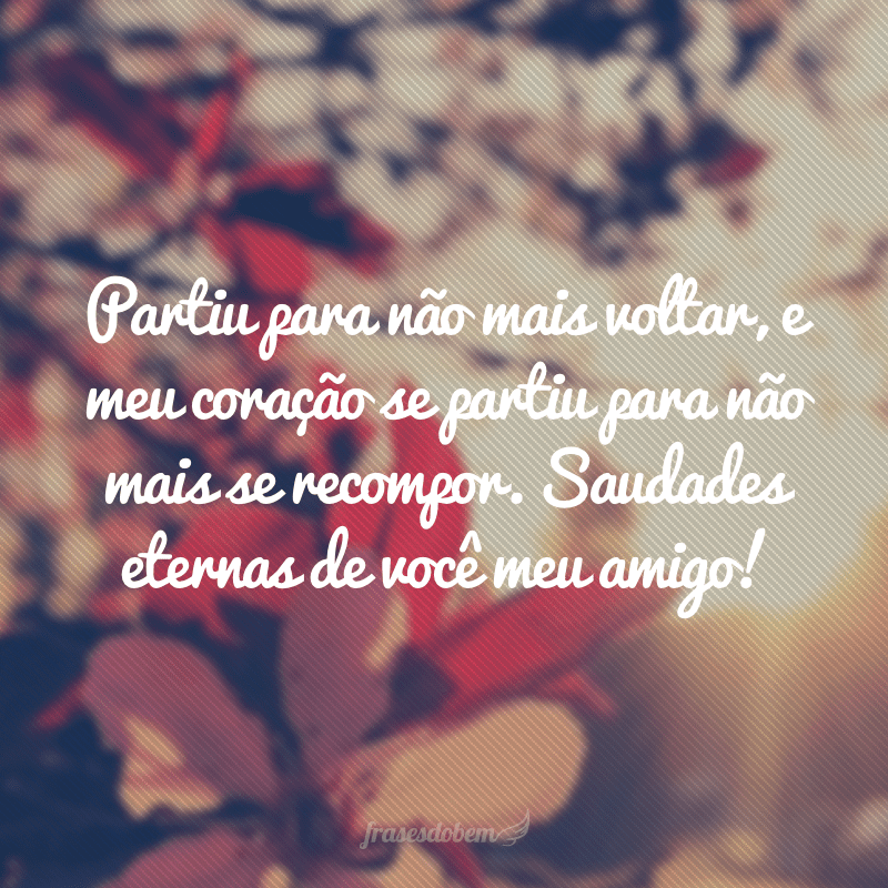 Partiu para não mais voltar, e meu coração se partiu para não mais se recompor. Saudades eternas de você meu amigo!