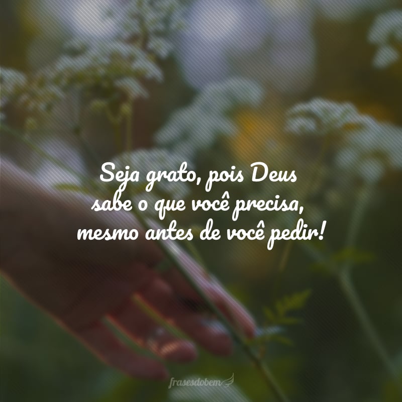 Seja grato, pois Deus sabe o que você precisa, mesmo antes de você pedir!