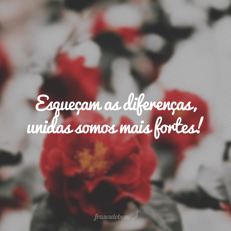 Esqueçam as diferenças, unidas somos mais fortes!