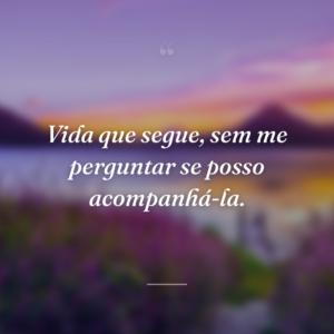 Vida que segue, sem me perguntar se posso acompanhá-la.