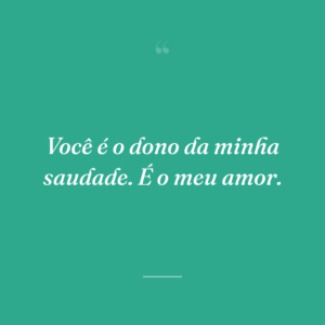 Você é o dono da minha saudade. É o meu amor.