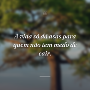 A vida só dá asas para quem não tem medo de cair.